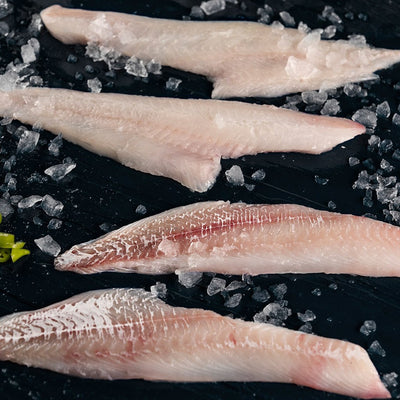 Frozen Haddock Fillets - AC Covert Seafood
